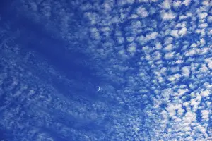 Fleecy Cloud Formations Prints: Altocumulus clouds with crescent moon