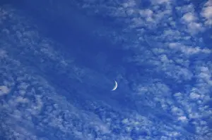Fleecy Cloud Formations Prints: Altocumulus clouds with crescent moon