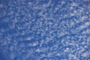 Fleecy Cloud Formations Prints: Altocumulus clouds with crescent moon