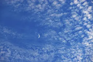 Fleecy Cloud Formations Prints: Altocumulus clouds with crescent moon