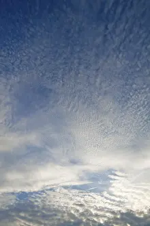 Nice Weather Cumulus Humilis Cloud Prints: Altocumulus clouds, Germany