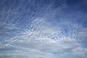 Cloud Formation In Europe Prints: Altocumulus clouds, Germany