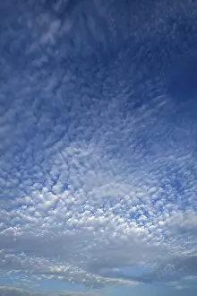 Altocumulus Clouds Germany Prints: Altocumulus clouds, Germany