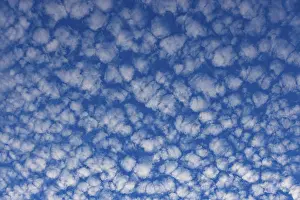 Cloudy Skies Austria Prints: Altocumulus clouds, Upper Austria, Austria