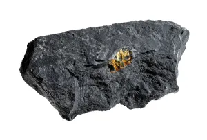 Semi Precious Stone Prints: Amber, embedded in granite