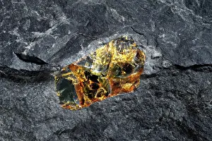 Semi Precious Stones Prints: Amber, embedded in granite