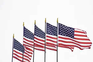 Patriotic Symbols Prints: American flags