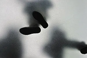 Anonymous Person Prints: Anonymous person from below