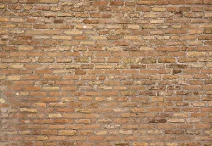 Deserted Old Building Prints: Antique brick texture