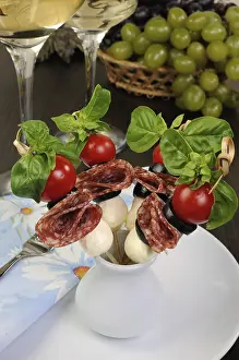 Lunch Meal Ideas Prints: Appetizer of salami with mozzarella