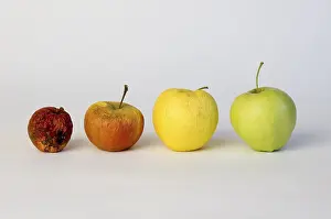 Symbolic Apple Image Prints: Apple aplples