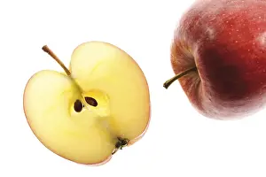 Apple Slice Nutrition Prints: Apple and apple slice