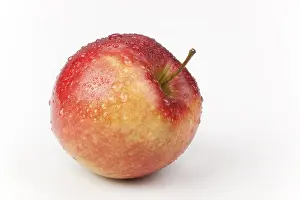 Healthy Eating Food Prints: Apple (Malus)