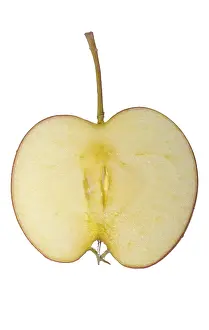Single Object Food Still Life Prints: Apple slice with stalk
