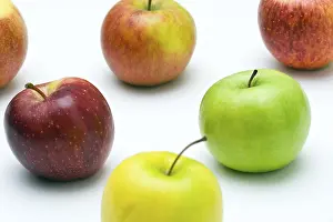 Studio Shot Fruits Prints: Apples
