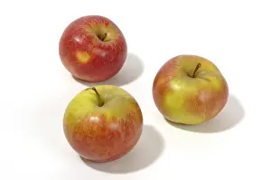 Healthy Eating Meals Prints: Apples