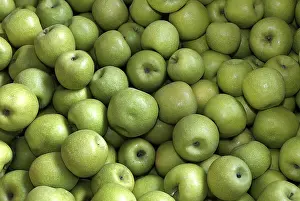 Framed Print : Apples Print by ImageBROKER