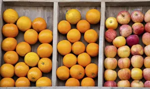 Fresh Citrus Fruits Prints: Apples and oranges as fruit composition