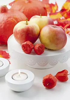 Autumn Table Setting Prints: Apples and pumpkins on the autumn table