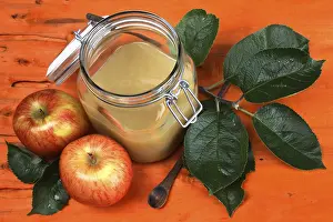 Close Up Food Images Prints: Applesauce
