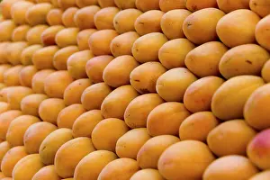 Food Photography Backgrounds Prints: Apricots