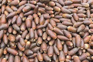 North African Cuisine Prints: Argan nuts in Morocco, background