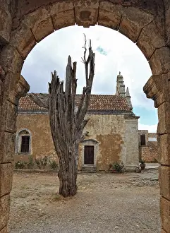 Arkadi Monastery Prints: Arkadi Monastery, the bullet tree