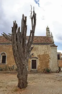 Crete Greece Prints: Arkadi Monastery, the bullet tree