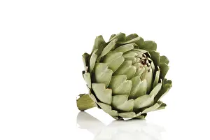 Cut Out Food Image Prints: Artichoke