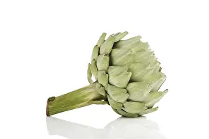 Grocery Store Produce Prints: Artichoke