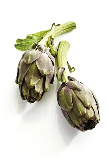 Close Up Artichoke Prints: Artichokes