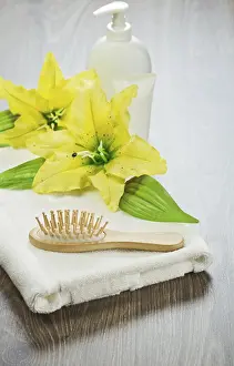 Studio Shot Photography Prints: Articles about bathing