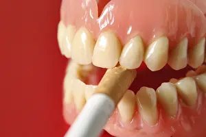 Smoking A Cigarette Prints: Artificial dentures with cigarette