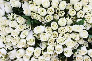 Decorative Artificial Flowers Prints: Artificial white Roses