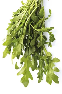 Rocket Salad Recipe Prints: Arugula