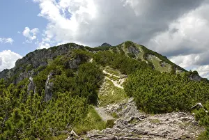 Bavarian Alps Landscape Prints: Ascent, path to the summit, Mt