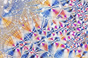 Prints of Ascorbic acid, vitamin C crystallized, polarized light Polarized Light Prints: Ascorbic Acid Crystals Print in Polarized Light