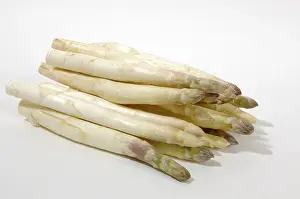 Vegetable Still Life Prints: Asparagus