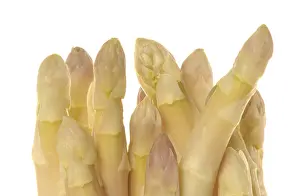 Close Up Asparagus Prints: Asparagus