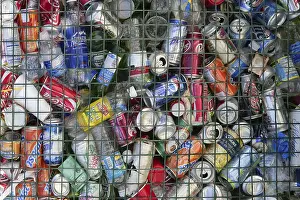 Aluminium Can Recycling Prints: Assorted beverages cans on the trash
