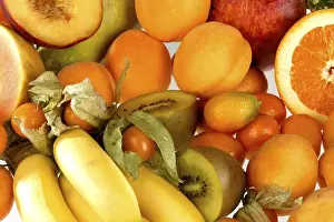 Close Up Citrus Fruits Prints: Assorted orange fruit on white background