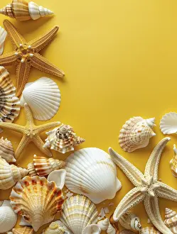 Plain Yellow Background Prints: Assorted seashells artfully scattered on a yellow backdrop