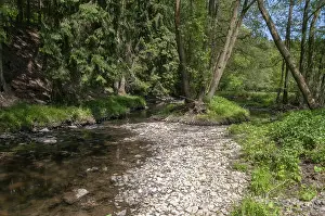 Natural Preserve Germany Prints: Aumatal, Germany, Greiz, Thuringia