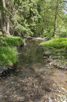 Thuringia Landscape Prints: Aumatal, Germany, Greiz, Thuringia