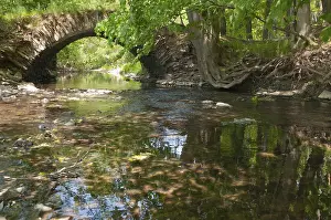 European River Scenery Prints: Aumatal, Germany, Greiz, Thuringia