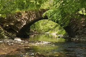 Central European Landscape Photo Prints: Aumatal, Germany, Greiz, Thuringia