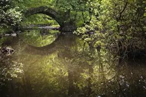 Thuringia Landscape Prints: Aumatal, Germany, Greiz, Thuringia