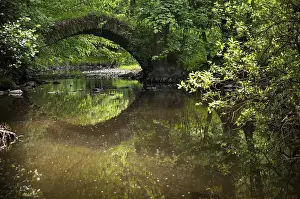 European Countryside Photography Prints: Aumatal, Germany, Greiz, Thuringia
