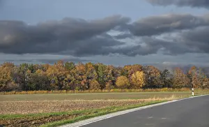 Uninhabited Farm Fields Germany Prints: Autumn road next to undeveloped fields