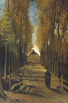 Street Art Prints: Vincent van Gogh's Avenue of Poplars in Autumn Print (1884)